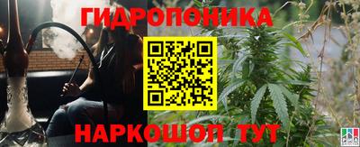 ECSTASY Малгобек